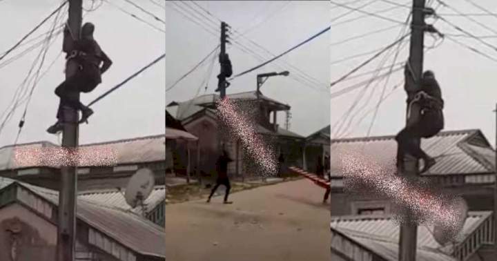 DISCO official stranded on electric pole after being dispossessed of ladder by residents in Delta (Video)